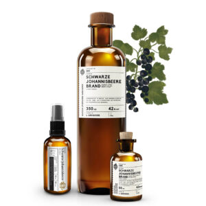 180_Deutsche_Schwarze-Johannisbeere_a.jpg No 180 Deutsche Schwarze Johannisbeere