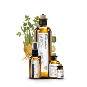 No 265 Deutscher Knollensellerie