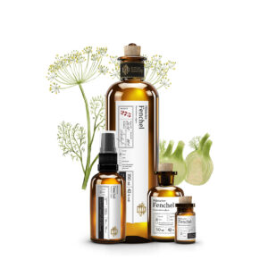 No 275 Pfälzischer Fenchel