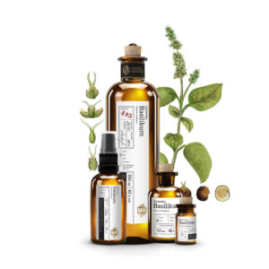 No 425 Deutsches Basilikum