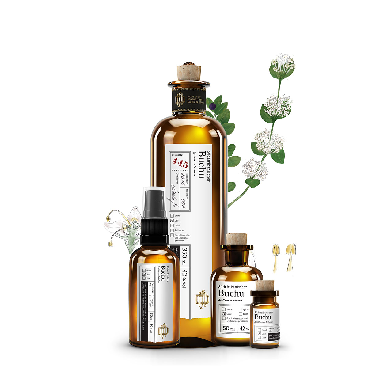 No 445 Südafrikanischer Buchu