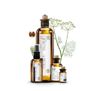 No 447 Deutscher Dill