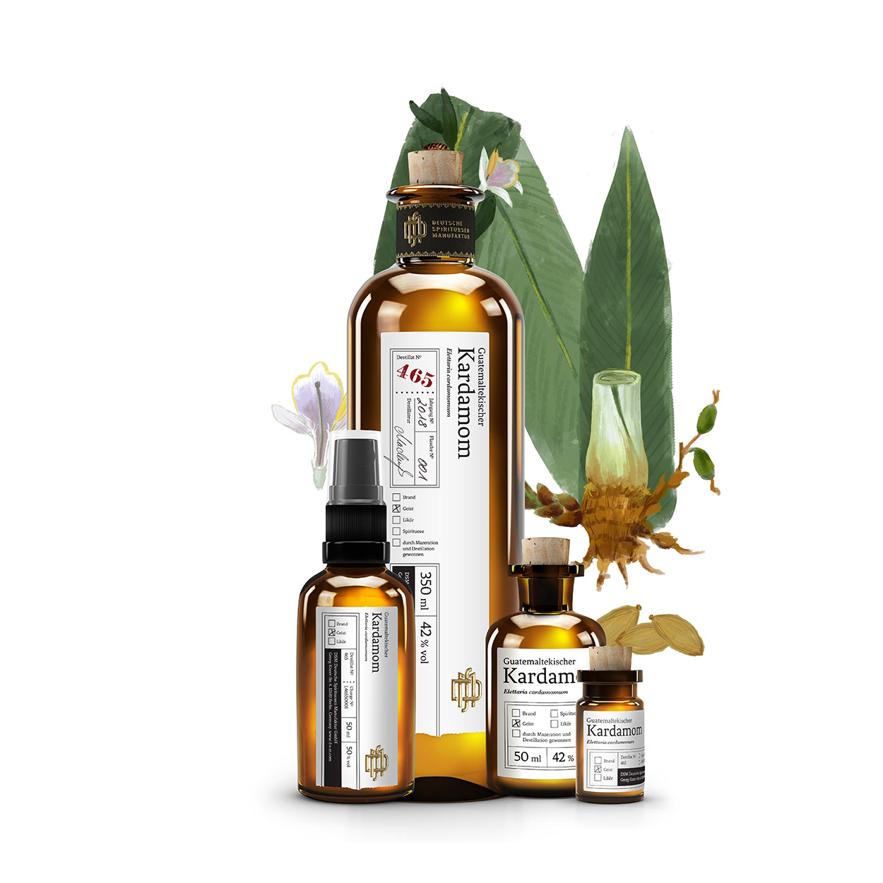 No 465 Guatemaltekischer Kardamom