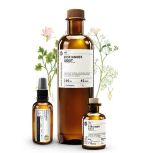 No 480 Deutscher Koriander