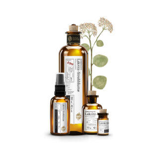 Web No 490 Südafrikanische Lakritz-Strohblume