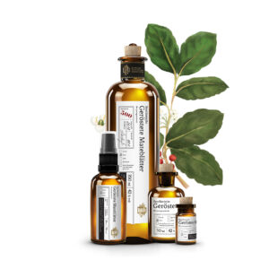 Web No 500 Brasilianische Geröstete Mateblätter