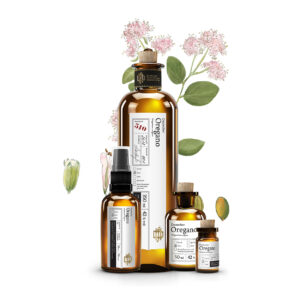 Web No 510 Deutscher Oregano