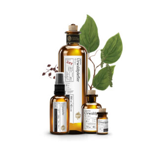 Web No 522 Indischer Urwaldpfeffer