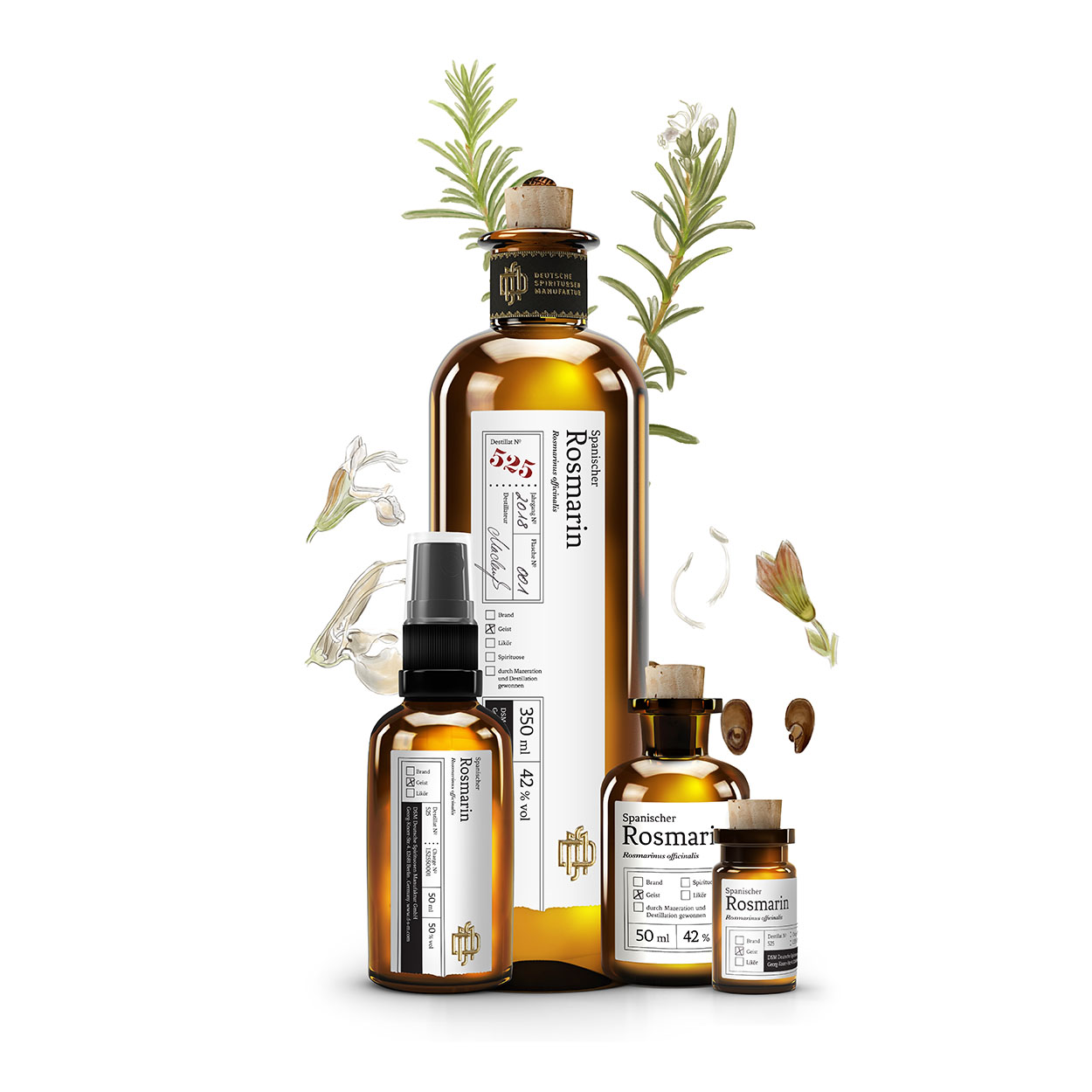 No 525 Spanischer Rosmarin