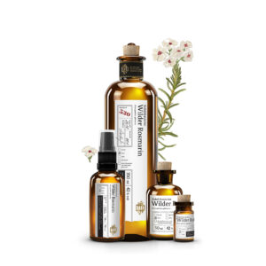 Web No 530 Südafrikanischer Wilder Rosmarin