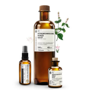 No 552 Deutsche Marokkanische Minze