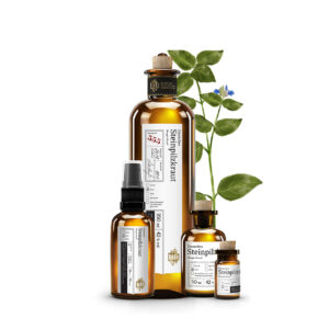 No 555 Deutsches Steinpilzkraut