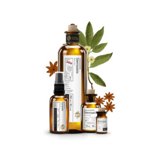 No 560 Vietnamesischer Sternanis