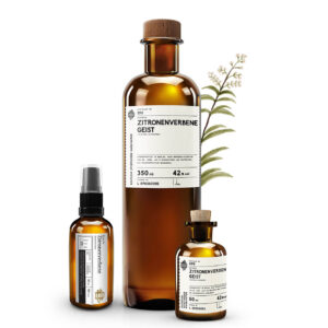 No 590 Deutsche Zitronenverbene