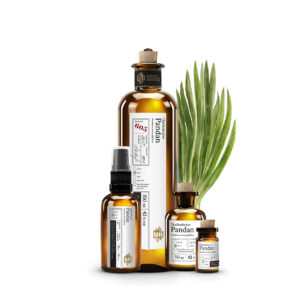 No 605 Thailändischer Pandan