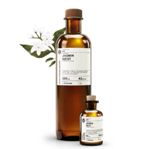 No 615 Chinesischer Jasmin