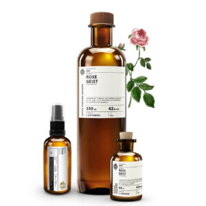 No 647 Deutsche Rose